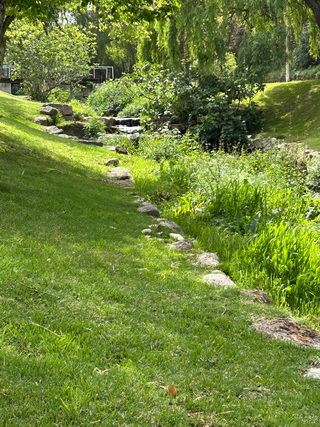 1777025012582 resize