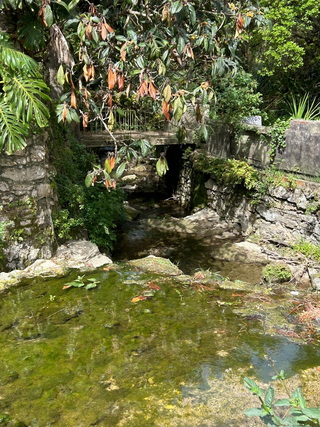 1777025012587 resize