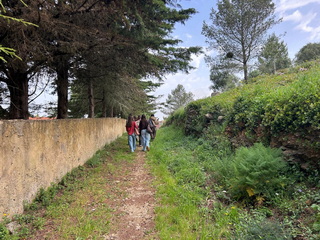 1777025012602 resize