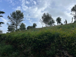 1777025012605 resize